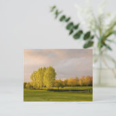 Parcours de golf en Automne Carte postale (Debout devant)