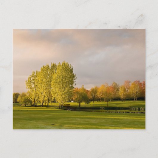 Parcours de golf en Automne Carte postale (Devant)