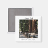 Parcs nationaux - Sequoia/Kings Canyon Magnet (Recto/Verso)