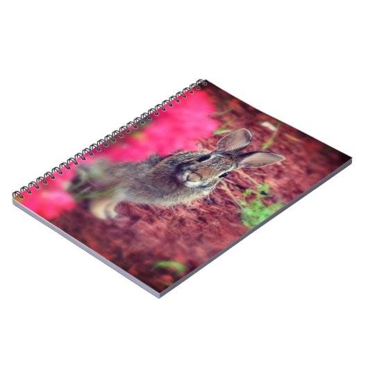 Pardon Me Bunny Spiral Journal (Côté gauche)