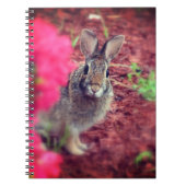 Pardon Me Bunny Spiral Journal (Devant)