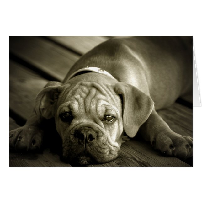 Pardonne-moi (Devant Horizontal)