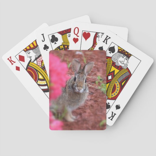 Pardonnez-moi des cartes de jeu de lapin (dos)