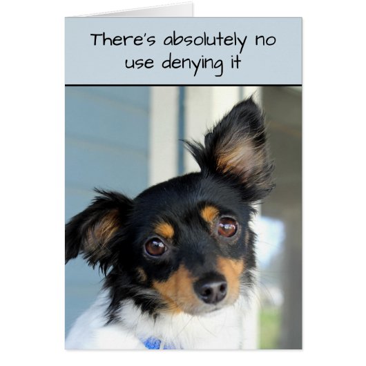 Pardonnez-moi Doggie carte de tendresse (Devant)