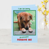 "Pardonnez-svp moi" la carte de voeux (Fleur jaune)