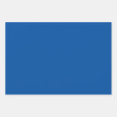 Parel Earring schedel Vermeer Parodie Decoupage L Inpakpapier Vel (Voorkant 2)