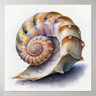 Parel- en lavendelspiraal zeeschelpenillustratie poster