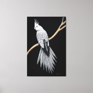 Parel Pied Cockatiel Parrot Verpakt Canvas Afdruk