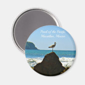 Parel van de Pacific Mazatlan Mexico Bird Magneet (Voorkant / Achterkant)