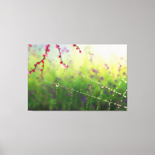 Pareltjes van een Afdruk van het Canvas van de Len