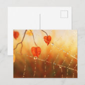 Pareltjes van een Briefkaart in de herfst van de o (Voorkant / Achterkant)