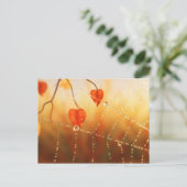 Pareltjes van een Briefkaart in de herfst van de o (Staand voorkant)