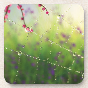 Pareltjes van een Onderzetter van de lentemorning