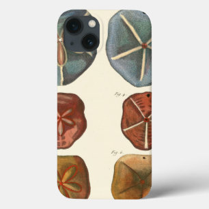 Pareltjes voor zandpoppen iPhone 13 hoesje