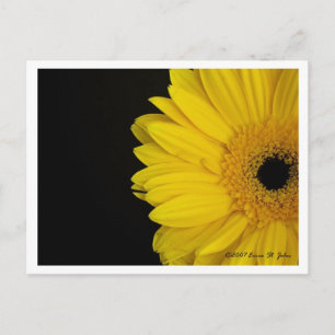 Parement de la carte postale de Simpleness