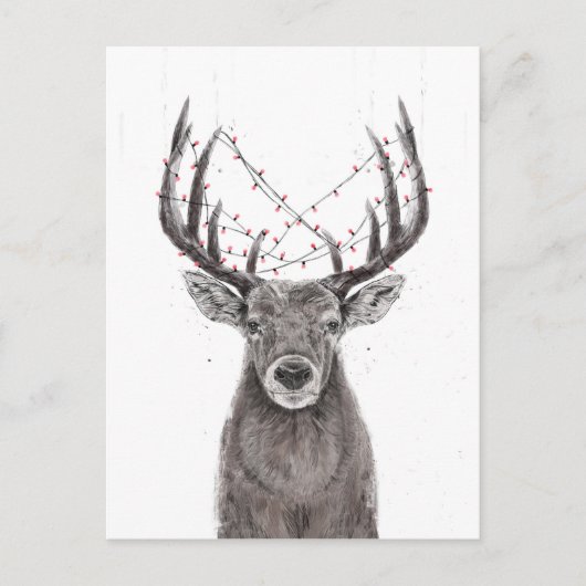 parezen briefkaart (Voorkant)