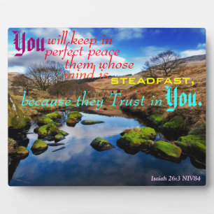 Parfait Plaque De Paix.