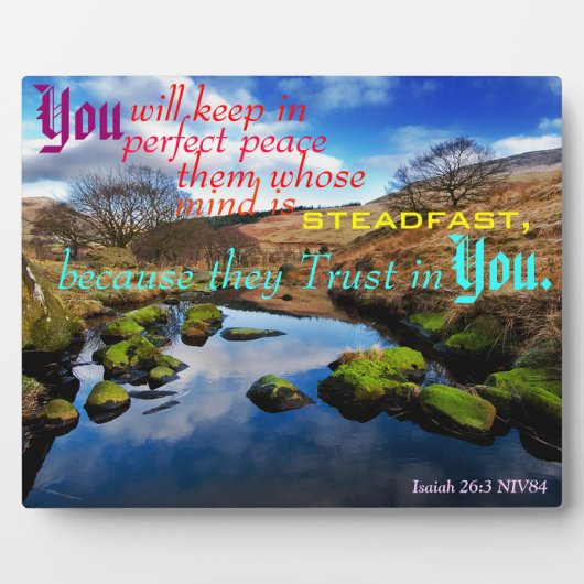 Parfait Plaque De Paix. (Devant)