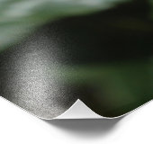 parfait rose rose fleur et bud photo art. (Coin)