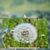 Parfaite dent-de-lion – Photographie botanique mac (Neutre)