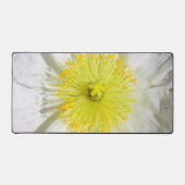Parfaitement Poppy (Recto)