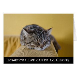 Parfois, La Vie Peut Être Épuisante Cute Chat