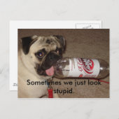 Parfois, on a l'air stupide. cartes postales (Devant / Derrière)