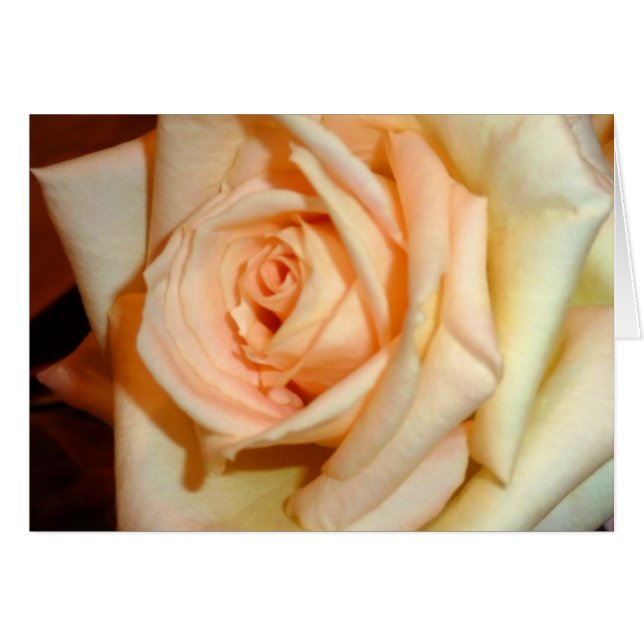 Parfum (Devant Horizontal)