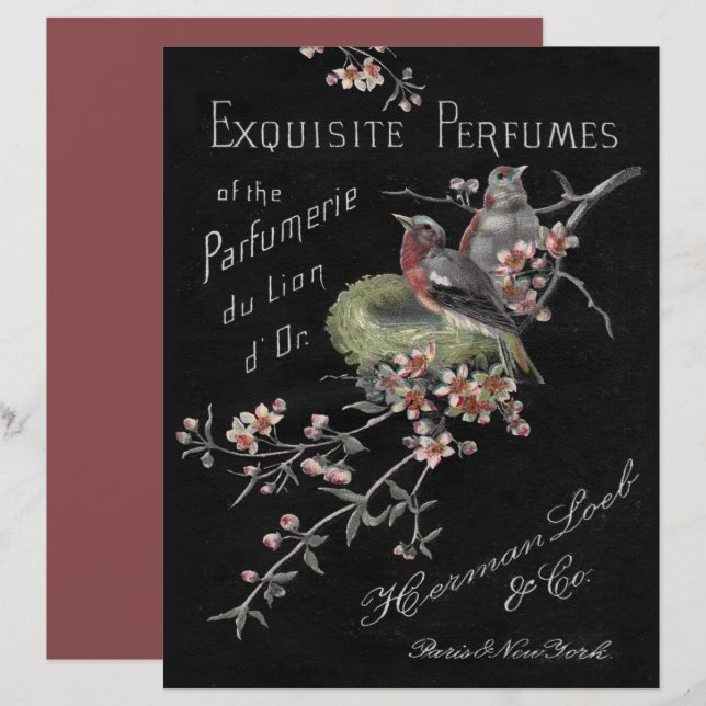  parfums, nestscrapbook (Voorkant / Achterkant)
