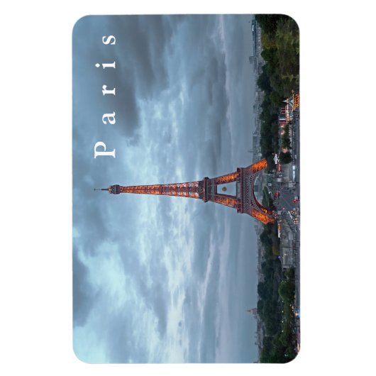 Parijs # 30 magneet (Verticaal)