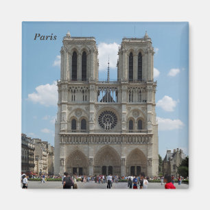 Parijs - Cath � drale Notre-Dame Magneet