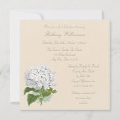 Parijs  Witte Hydrangea Bloem Baby shower Kaart (Achterkant)