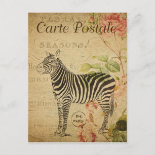 Parijs  Zebra Briefkaart