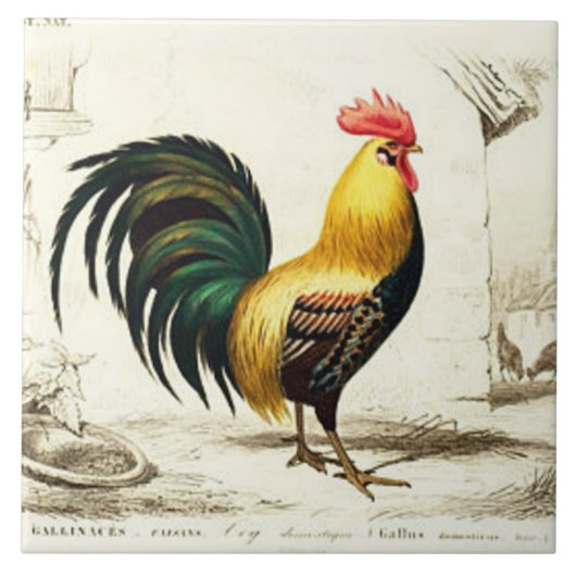  Parijse haan home decor tegel Tegeltje (Voorkant)