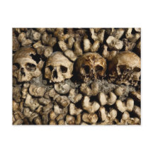Paris Catacombs Skulls and Botten Briefkaart