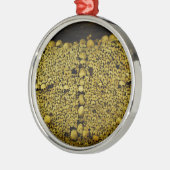 Paris Catacombs Skulls en Botten Metalen Ornament (Links)
