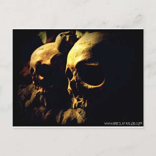 Paris Catacombs tegen April A Taylor Briefkaart (Voorkant)