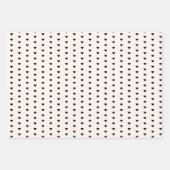 Paris Coordinating Pattern Inpakpapier Vel (Voorkant 2)