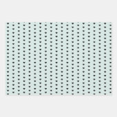 Paris Coordinating Pattern Inpakpapier Vel (Voorkant 2)