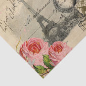 Paris Crow Wereldbol Frans Briefkaart Roos Weefpap Tissuepapier (Detail)