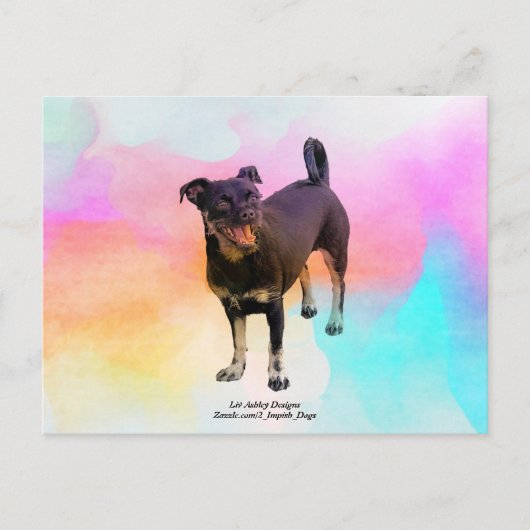 Paris Disco Briefkaart (Voorkant)