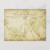  Paris Eiffeltoren Jurk van Briefkaart (Achterkant)