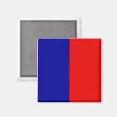 Paris Flag Magneet (Voorkant / Achterkant)