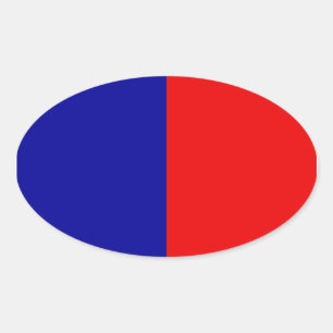 Paris Flag Ovale Sticker