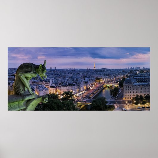 Paris France Gargoyle Poster (Voorkant)