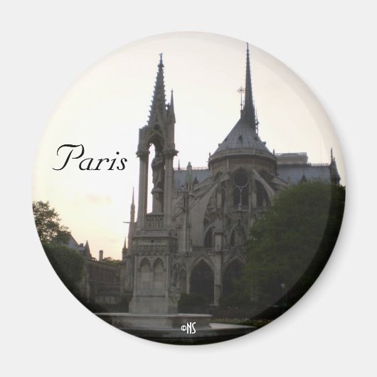 Paris, France Magnet (Devant)