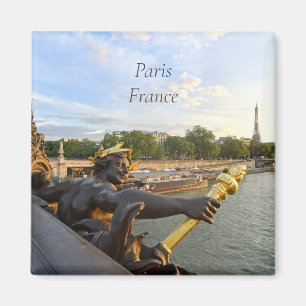 Paris France Pont Alexandre. Magnet Magneet