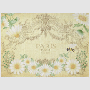Paris Madeliefjes Bij Geel Decoupage Ambacht Tissuepapier