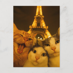 Paris Nacht Kat Selfie Squad Liefhebber Briefkaart
