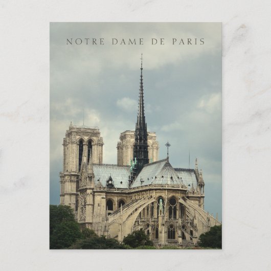 Paris Notre Dame Cathedral Briefkaart (Voorkant)